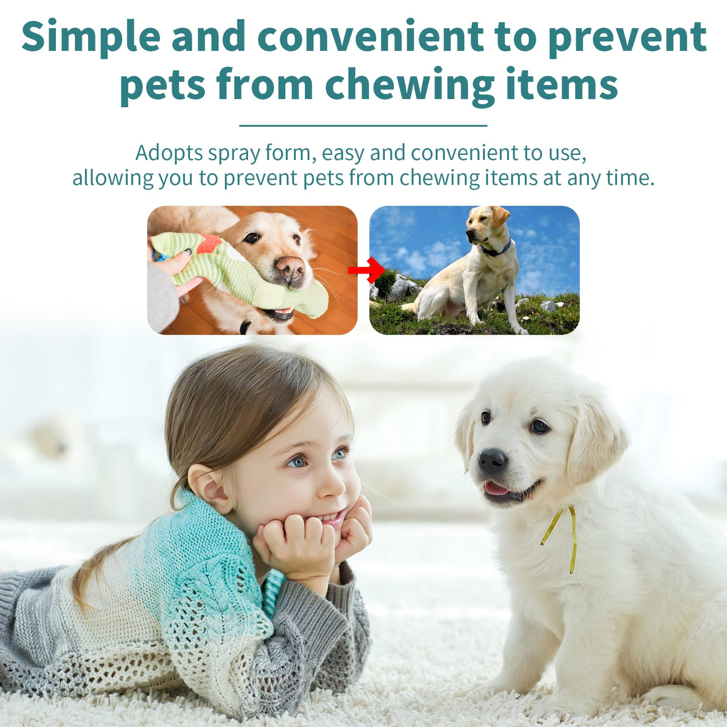 Corrective Chewing Spray For Pets, Anti-Cat/Dog Scratching Sofa Chewing Pet Behavior Modification Spray